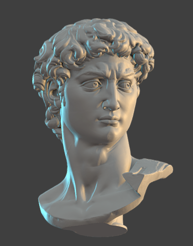 head_of_michelangelos_david_optimised.png